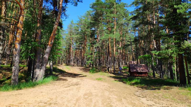 Лесные дорожки для велосипеда. Белоруссия.
