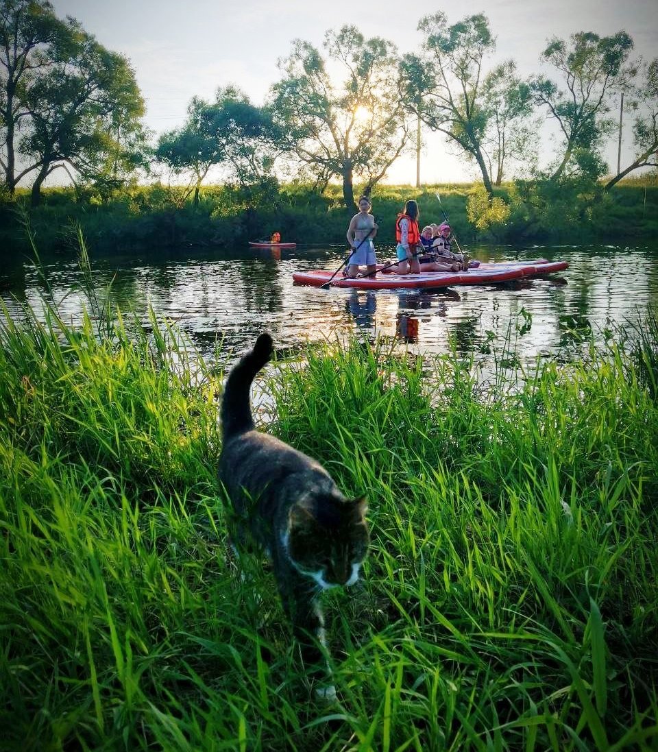 Боровск. Сплав на SUP бордах, на САП-ах